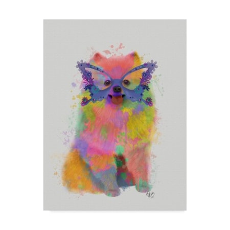 Fab Funky 'Rainbow Splash Pomeranian' Canvas Art,35x47